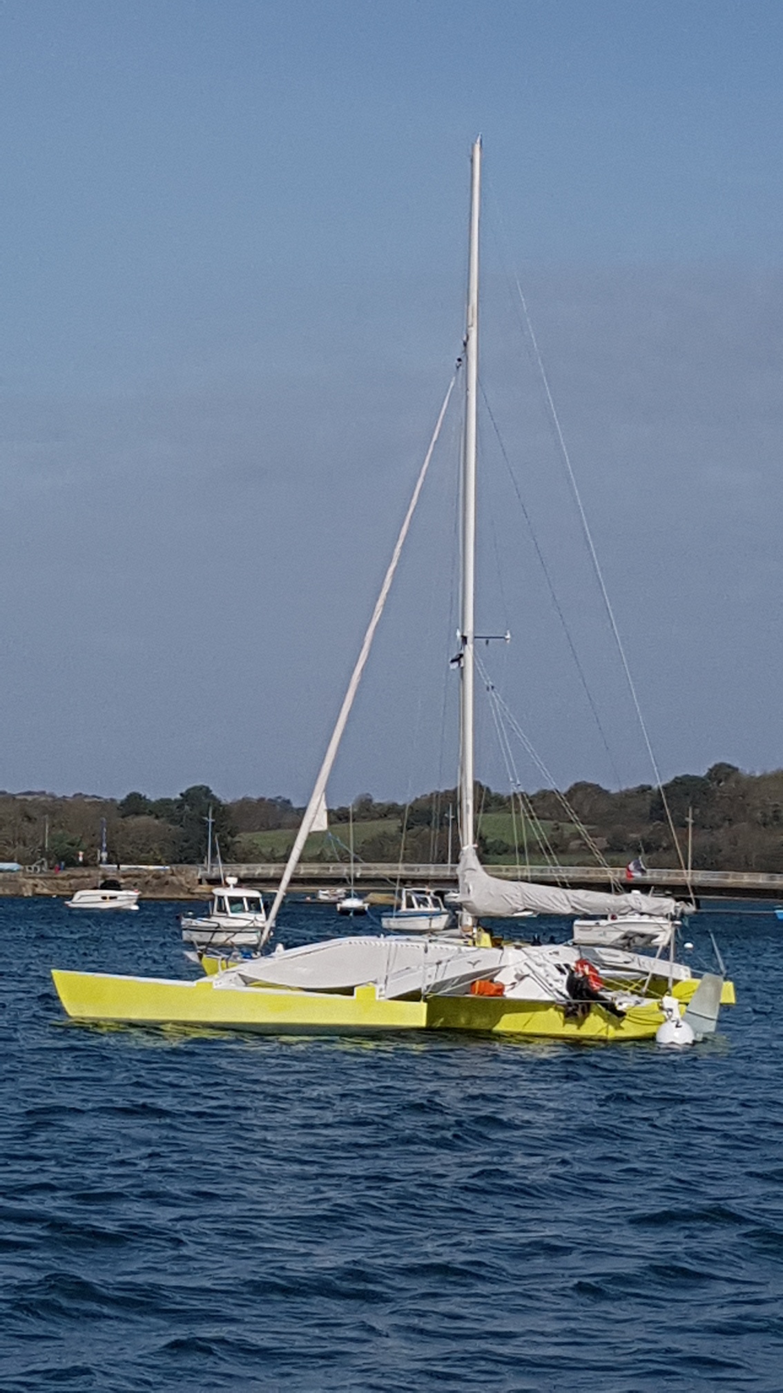 crowther twiggy trimaran