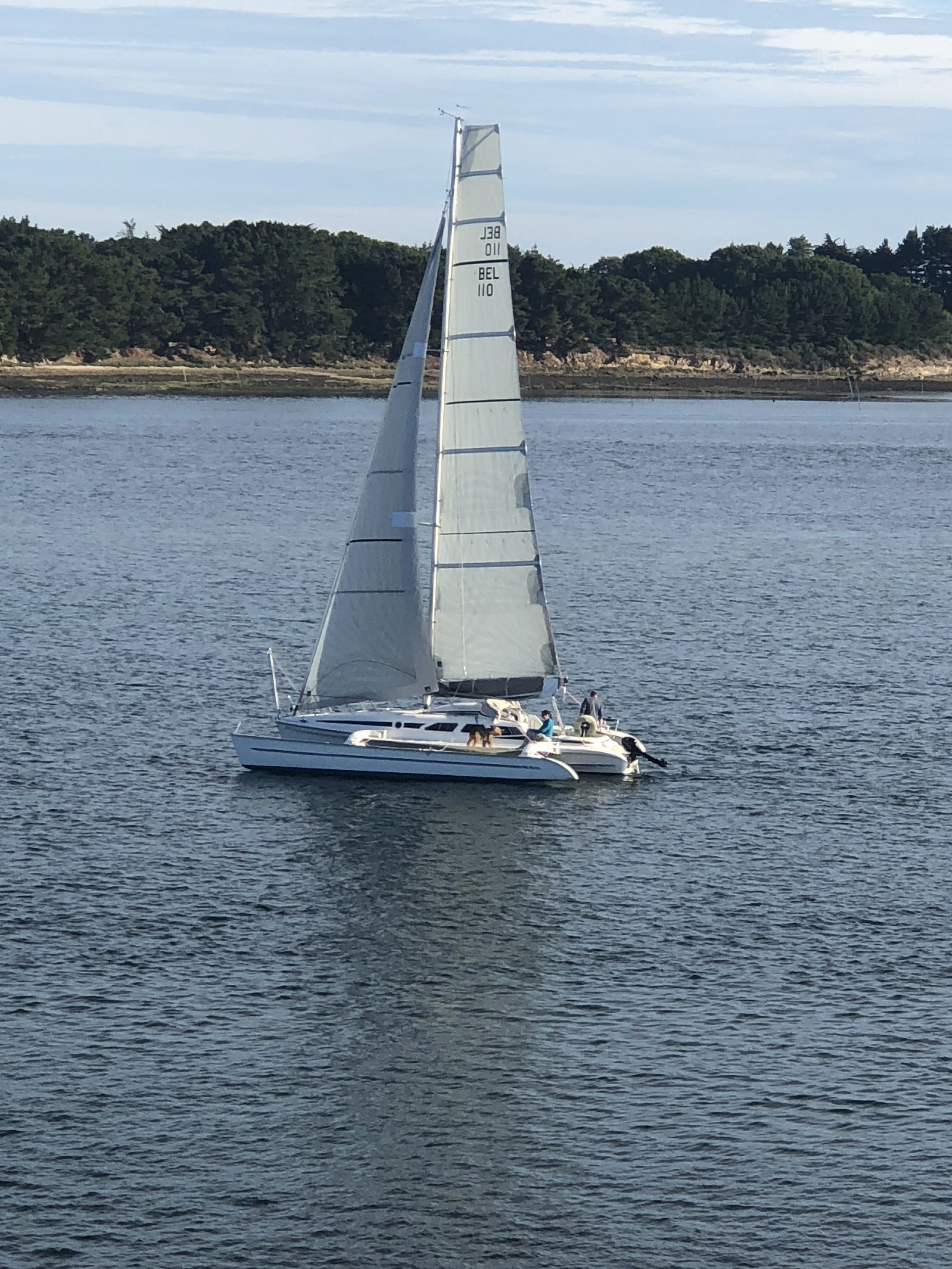 trimaran dragonfly 920