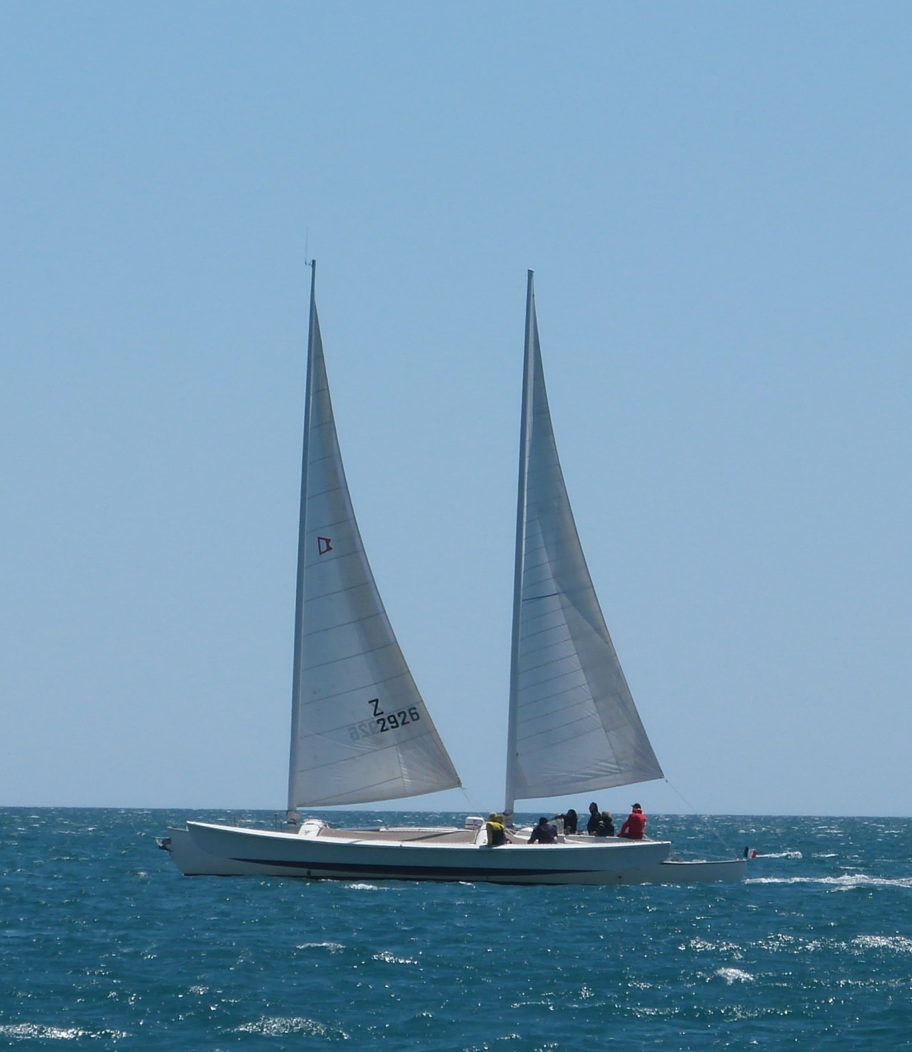 trimaran newick occasion